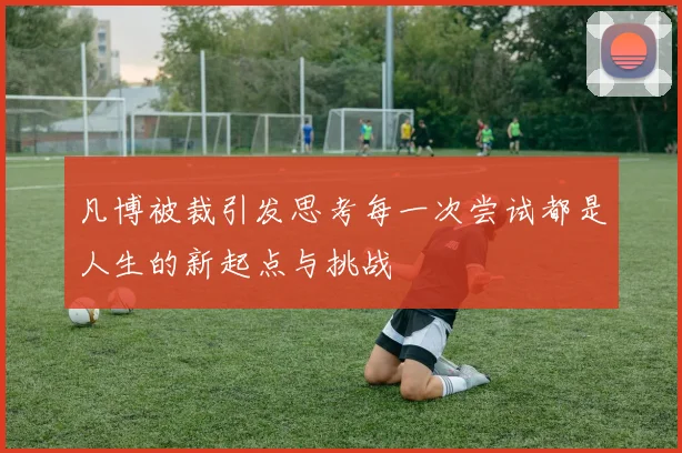 凡博被裁引发思考每一次尝试都是人生的新起点与挑战